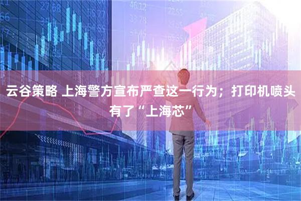 云谷策略 上海警方宣布严查这一行为；打印机喷头有了“上海芯”